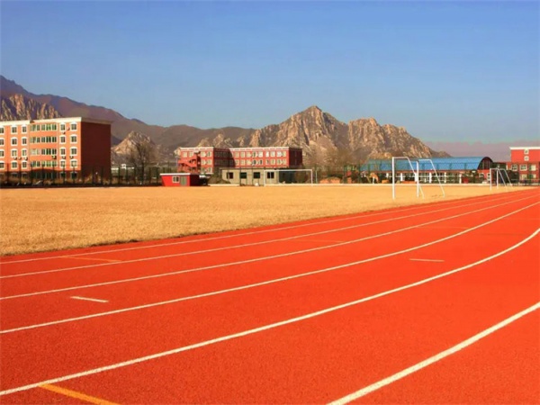秦皇岛市塑胶弹性面层学校塑胶跑道 - 价格
